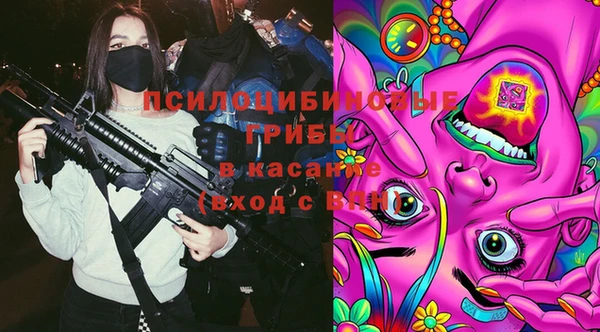mdpv Пестово
