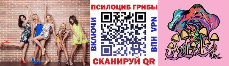 Псилоцибиновые грибы MAGIC MUSHROOMS  Купить  Кирс 